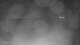Puerto Rey 02.07.2025 05:34