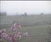 Wyk auf Föhr 01.05.2025 05:49