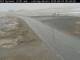 Dyranut 09.06.2025 05:34