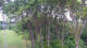 Markgrafenheide 07.06.2025 05:34