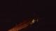 Saint-Jean-de-Monts 30.04.2025 05:21