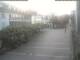 Radolfzell am Bodensee 09.06.2025 05:49