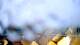 Germantown, Maryland 09.06.2025 05:46