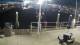 Placida, Florida 30.04.2025 05:50