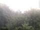 Herdecke 14.07.2025 05:53
