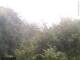 Herdecke 22.05.2025 05:50