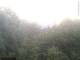 Herdecke 11.05.2025 05:50