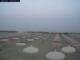Marina di Pisa 15.06.2025 05:50