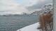 Kjøllefjord 30.04.2025 05:50