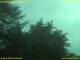 Nettetal 11.07.2025 05:50