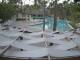 Punta Cana 16.05.2025 05:51