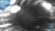 Carini 30.04.2025 05:52