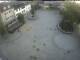Achern 20.03.2025 05:45