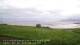 Laukvik 15.06.2025 05:52
