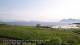 Laukvik 04.06.2025 05:52