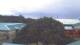 Keaau, Hawaii 02.07.2025 05:47
