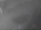 Fort Lauderdale, Florida 15.07.2025 05:49
