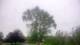 Harriman, New York 15.06.2025 05:51