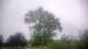 Harriman, New York 15.07.2025 05:51