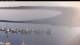 Tallinn 08.07.2025 05:45