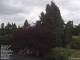 Son en Breugel 15.06.2025 06:46