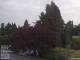 Son en Breugel 09.06.2025 06:46