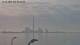 Fanø 15.06.2025 06:46