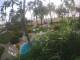Cabarete 15.06.2025 06:46