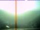 Angern an der March 30.04.2025 06:53