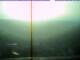 Angern an der March 29.04.2025 06:53