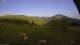 Flattnitz 14.06.2025 06:51