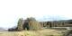 Radein 15.06.2025 06:53