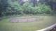 Tustin, Michigan 14.06.2025 06:53