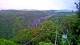 Kuranda 09.07.2025 06:53