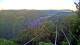Kuranda 04.07.2025 06:53