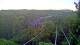 Kuranda 15.06.2025 06:53