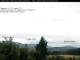 Birnbrunn 03.07.2025 06:53