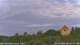 Hartmannsdorf 09.07.2025 06:53