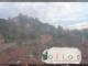 Soave 20.03.2025 06:54