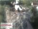 Aurach 15.06.2025 06:54