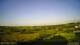 Carnkie 15.06.2025 06:54