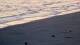 Cadzand-Bad 11.07.2025 06:54