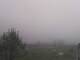Pfarrwerfen 29.04.2025 06:55