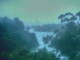 Linley Point 01.07.2025 06:54