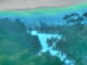 Linley Point 03.07.2025 06:54