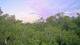 Metairie, Louisiana 15.06.2025 06:09