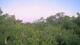 Metairie, Louisiana 12.07.2025 06:09