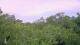 Metairie, Louisiana 09.06.2025 06:09
