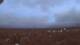 Stanton, Michigan 29.04.2025 06:10
