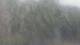 Fairview, Tennessee 14.06.2025 06:10
